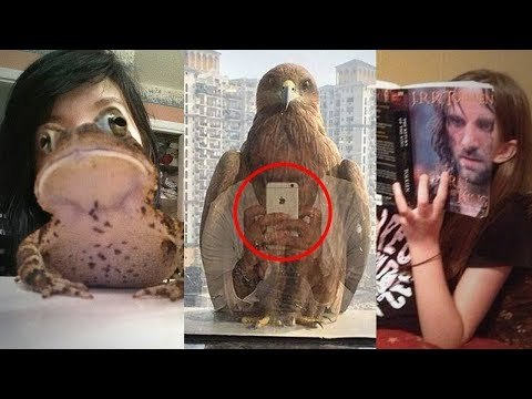 20 FOTO FANTASTIS YANG DIAMBIL TEPAT WAKTU