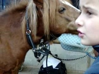 Nouga et Barrac: pansage mutuel