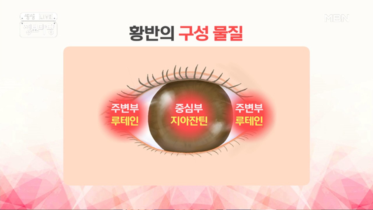 황반변성에 대한 ಠ_ಠ 모든 것!
