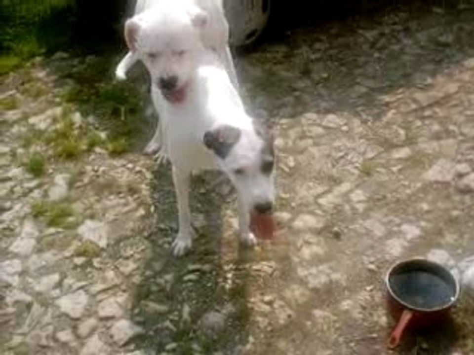 VID0032