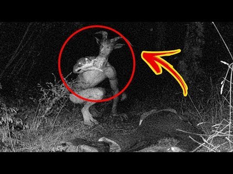 ADA YANG SAMPAI MENINGGAL! 5 VIDEO KESURUPAN PALING SERAM DI DUNIA #JALANANGKER