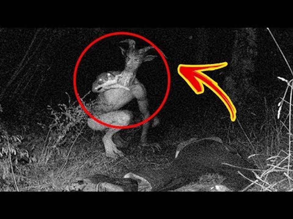 ADA YANG SAMPAI MENINGGAL! 5 VIDEO KESURUPAN PALING SERAM DI DUNIA #JALANANGKER