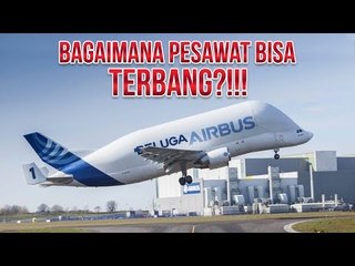 PUNYA BERAT 150 TON, KOK PESAWAT BISA TERBANG?!
