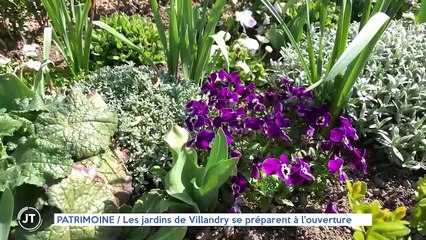 PATRIMOINE / Les jardins de Villandry se préparent à l'ouverture