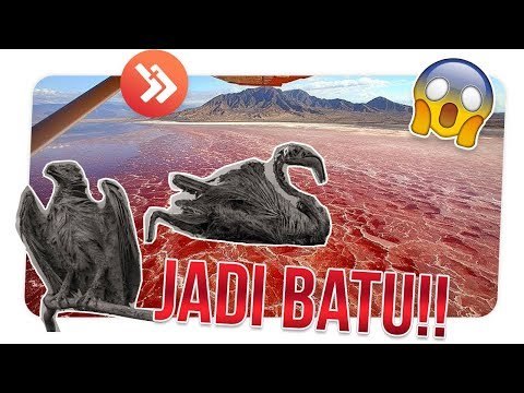 BIKIN JANTUNG COPOT!!! 5 LOKASI PALING MEMATIKAN DI DUNIA