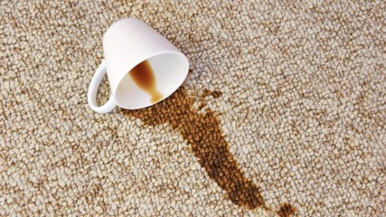 How to Get Coffee Stains Out of Everything