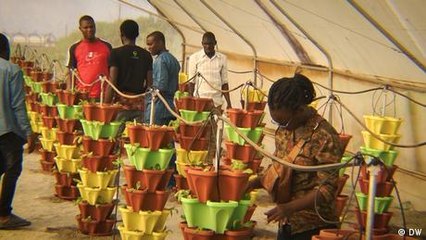 A hydroponic farming pioneer in Nigeria