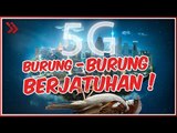 5G Gagal ?! Fakta Jaringan 5G di Indonesia!