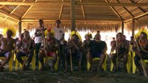 FAO: indígenas são os melhores guardiões das florestas da AL