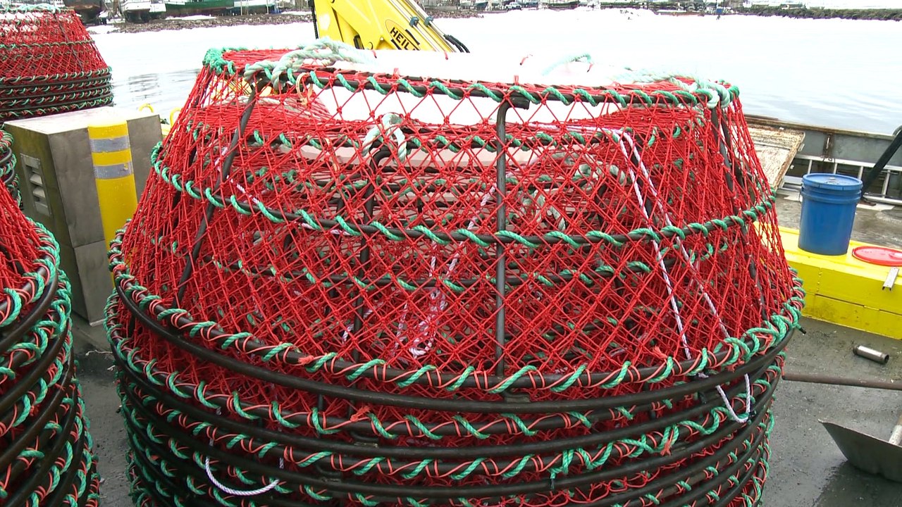 25 mars Topo CC peche aux crabes