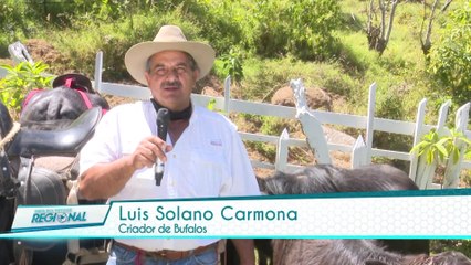 Costa Rica Noticias Regional - Martes 30 Marzo 2021