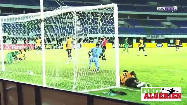 Zambie 3 - 3 Algérie (les buts de la rencontre)