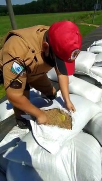 PRE apreende carreta com toneladas de maconha na PR-323, em Iporã
