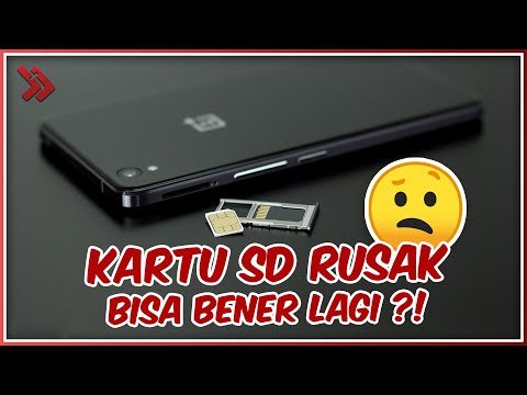 5 Cara Memperbaiki Kartu SD Rusak & Tidak Terbaca, Mudah Tanpa Ribet!