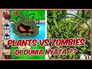 TANAMAN DENGAN KEMAMPUAN UNIK, MIRIP PLANT VS ZOMBIE!