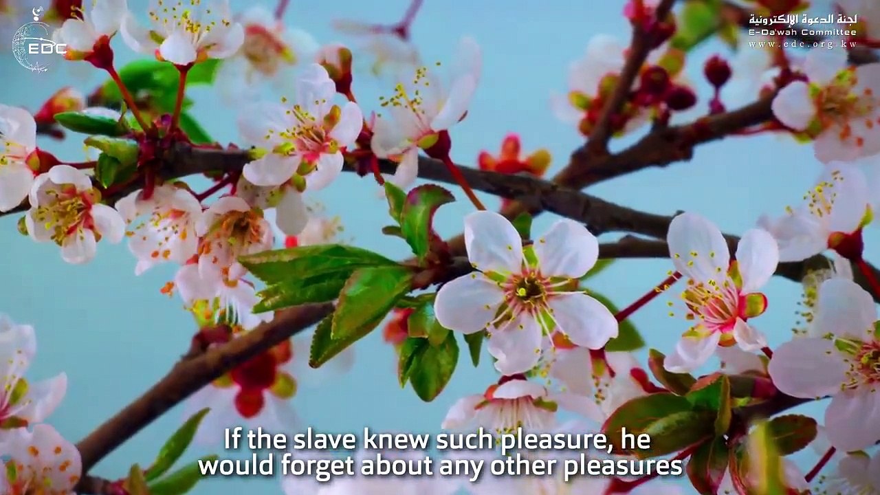 كيف تعلق قلبك بالله - الشيخ محمد المختار الشنقيطي