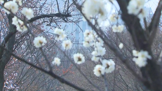 [날씨] 올봄 들어 가장 포근, 서울 21℃...미세먼지 주의 / YTN