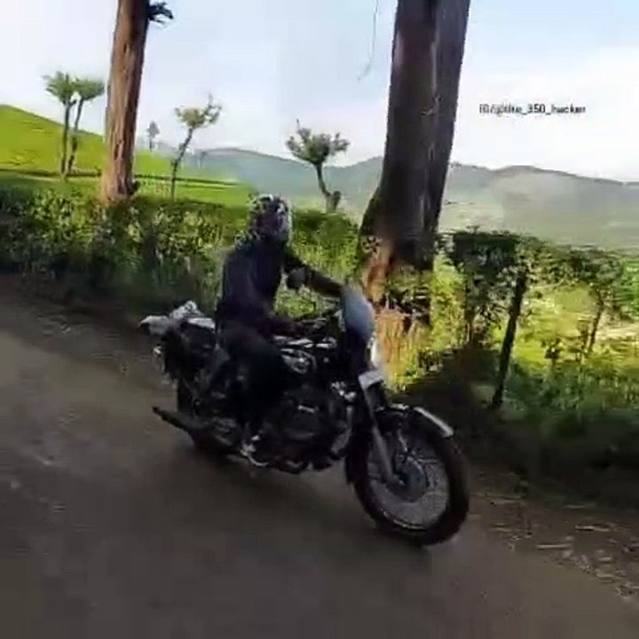 raid