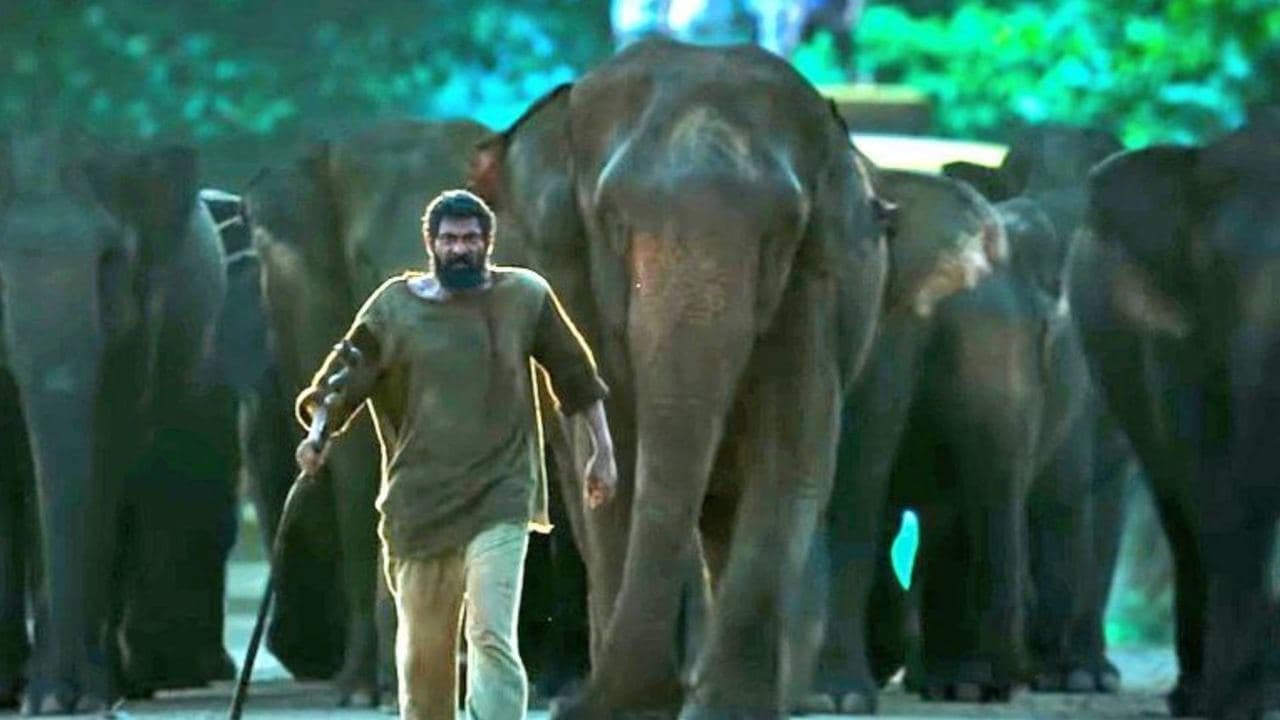 Aranya Movie Review | మిస్ అవకుండా చూడాల్సిన చిత్రం