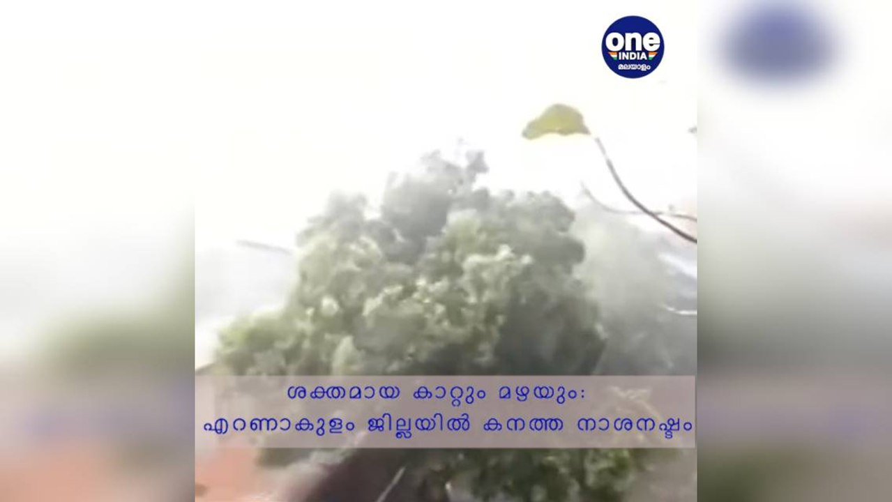 ശക്തമായ കാറ്റും മഴയും: എറണാകുളം ജില്ലയിൽ കനത്ത നാശനഷ്ടം