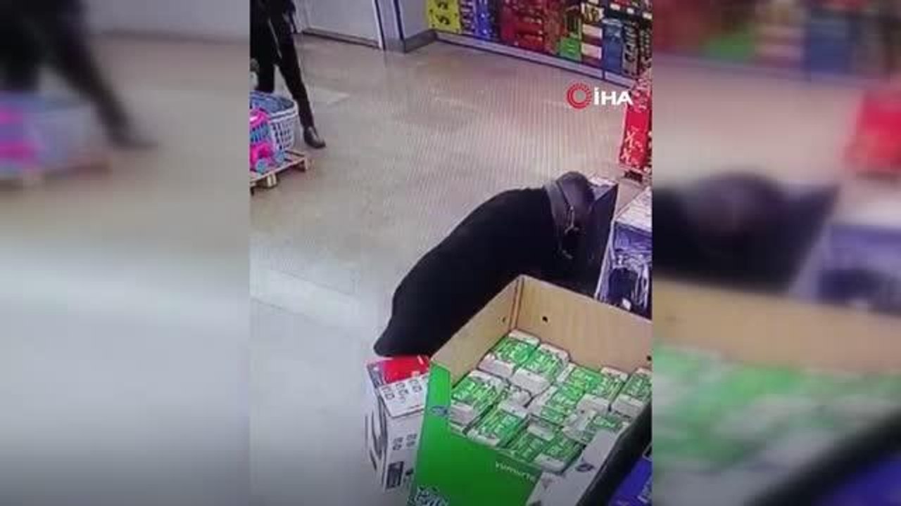 Dolandırıcılığın böylesi görülmedi