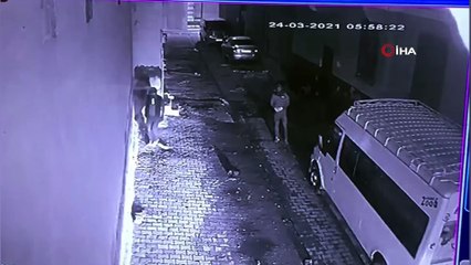 Fıstık hırsızları kamerada