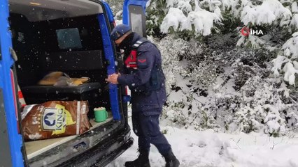Kar nedeniyle yol kapanınca hayvanların imdadına jandarma yetişti