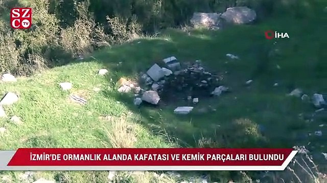 Ormanlık alanda kafatası ve kemik parçaları bulundu