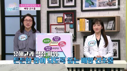 장까지 살아서 도달 하는 ☆포스트바이오틱스☆ TV CHOSUN 2103226 방송