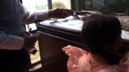 visit museum of shakar pariyan national history museum