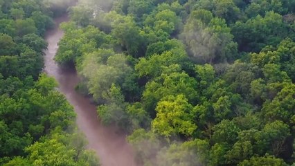 Walk with Nature Relaxing Walk in Thunderstorm,  Calm Music and Nature Sounds for Sleep and Study