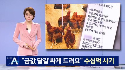 양계장·도매상 울린 ‘달걀 사기꾼’…수십억 원 피해