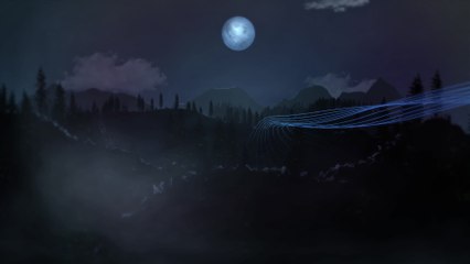 Miloš Karadaglić - Shore: The Forest: II.