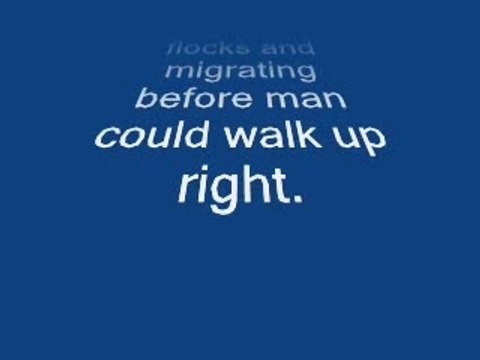 ufo fleets of ever2020