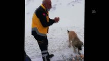Kar sebebiyle aç kalan köpekleri ambulans şoförü besledi