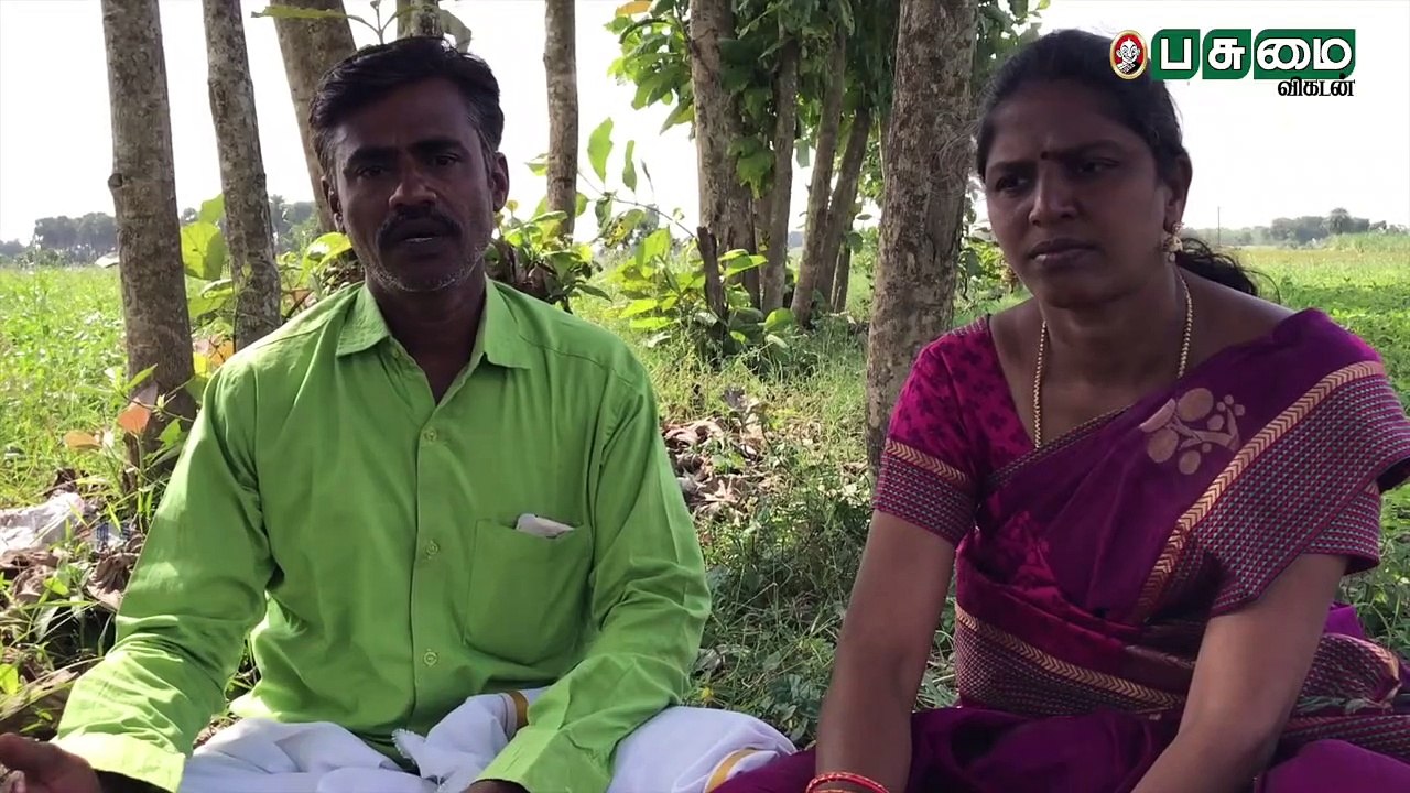 "எங்களைக் கிண்டல் பண்ணினவங்க, இப்போ ஆச்சர்யமாப் பார்க்குறாங்க" - சாதித்த விவசாய தம்பதி!
