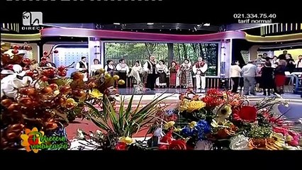 Nelu Balasoiu - Tu, mama, cand m-ai facut (Petrecere romaneasca - Tvh - 01.03.2015)