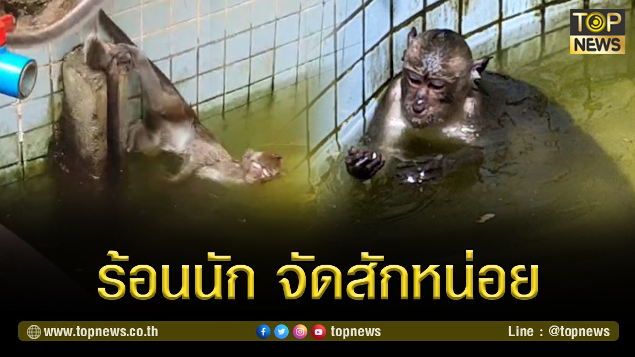 ร้อนนัก จัดสักหน่อย! แก๊งจ๋อ โชว์เทพเล่นน้ำในสระวัด | TOP NEWS