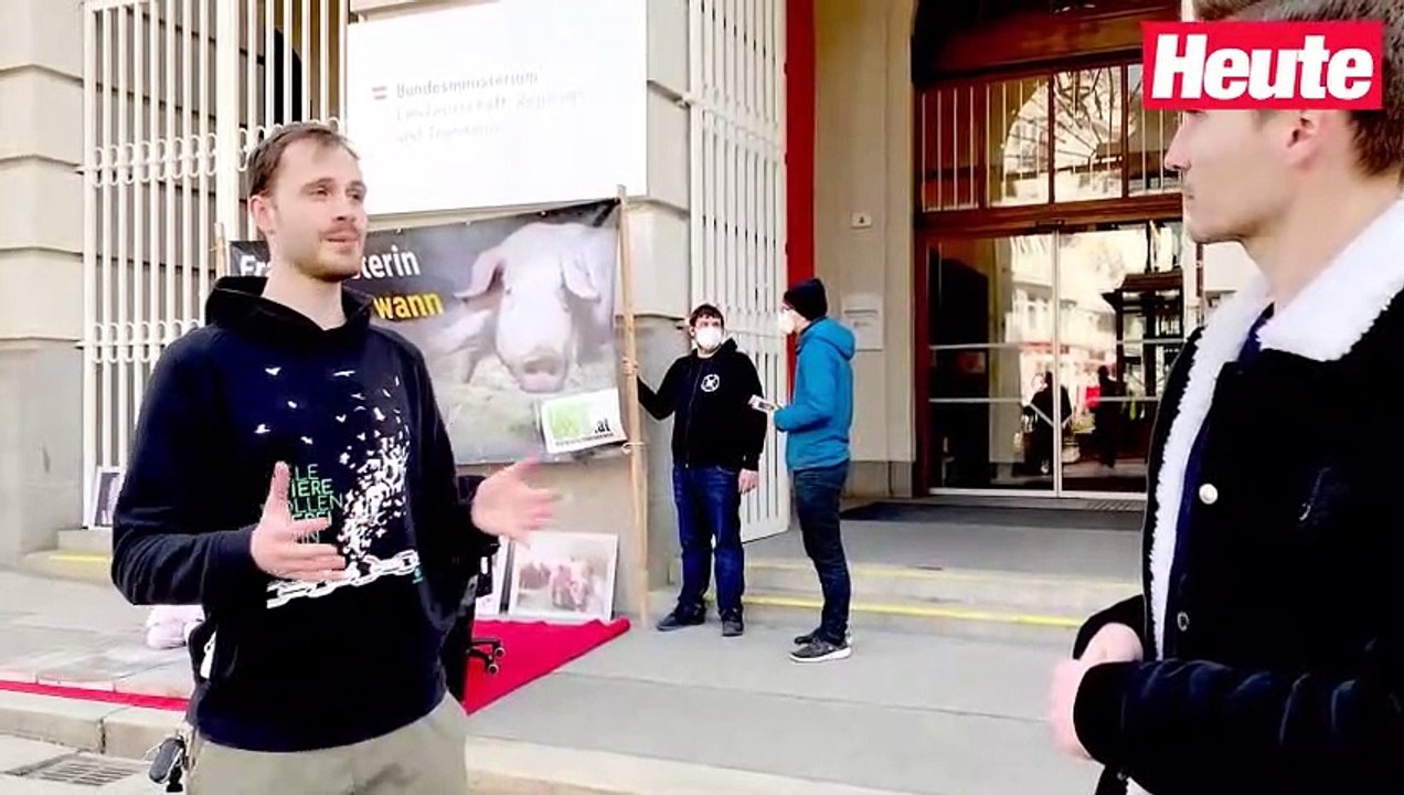 Tierschützer beklagen: 'Das hält kein Schwein aus!'