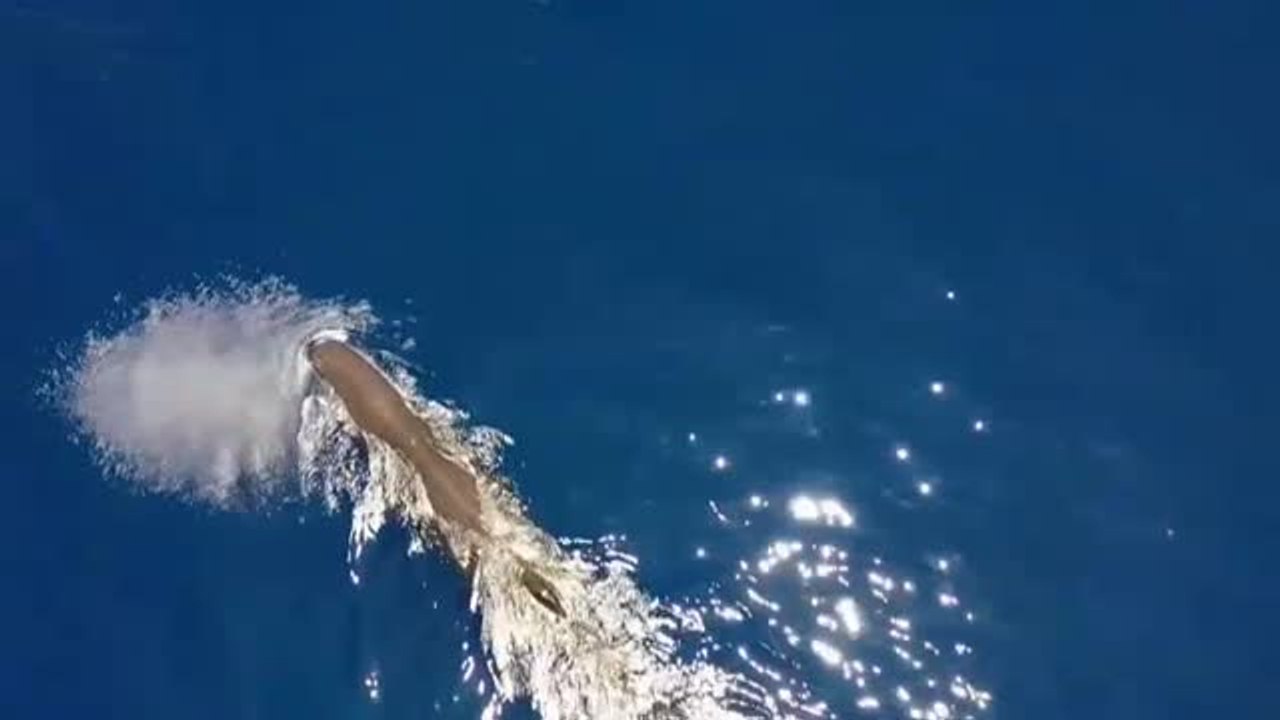 Economía circular, la clave para combatir el cambio climático