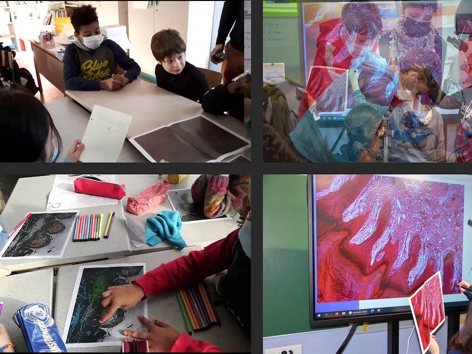 Une aventure cellulaire pour une école inclusive et inventive - Académie de Lille