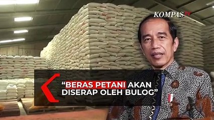 Скачать видео: Jokowi Pastikan, Bulog Akan Serap Beras Petani