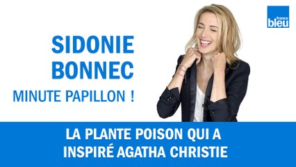 La plante poison qui a inspiré Agatha Christie