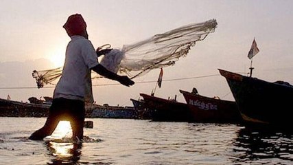 Скачать видео: Why several fisherman in Tamil Nadu are in trouble with Sri Lankan Navy