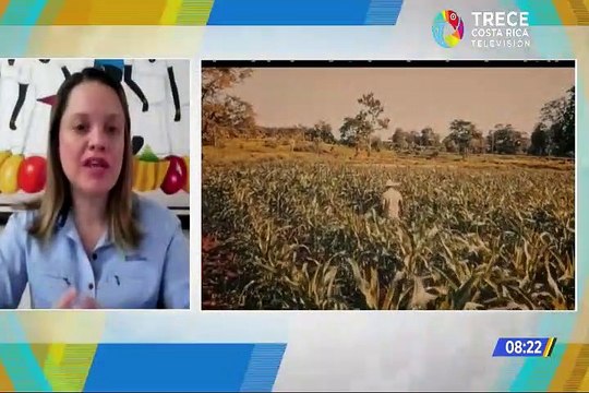 Programa transformando comunidades