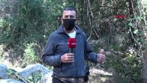 MUĞLA Oteller şelaleden su çekti, Kelebekler Vadisi yok olma tehlikesiyle karşı karşıya iddiası; Jandarma incelemelerde bulundu
