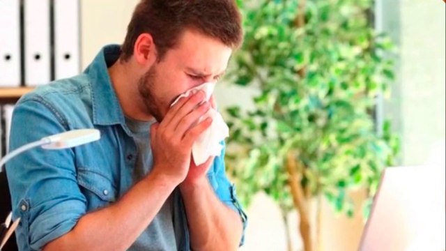 bd-complicaciones-de-la-rinitis-260321