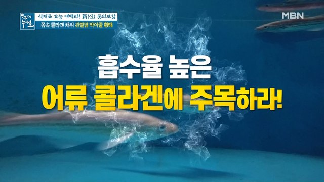돼지껍질, 족발, 닭발 이기는 흡수율 甲, '어류 콜라겐'