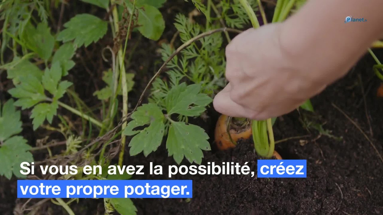 Dépenses alimentaires, factures, loisirs... Nos astuces pour faire de vraies économies