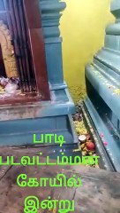 Paadi padavattamman kovil dharisanam indru